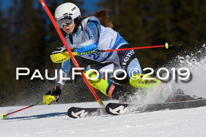 SVM U14/U16 Slalom 17.02.2019
