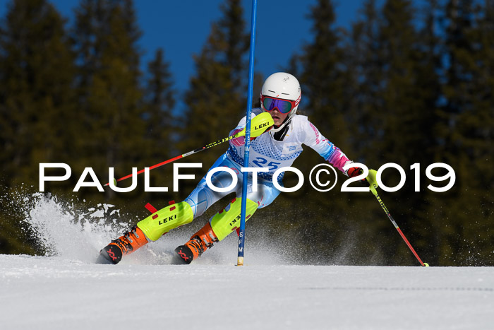 SVM U14/U16 Slalom 17.02.2019