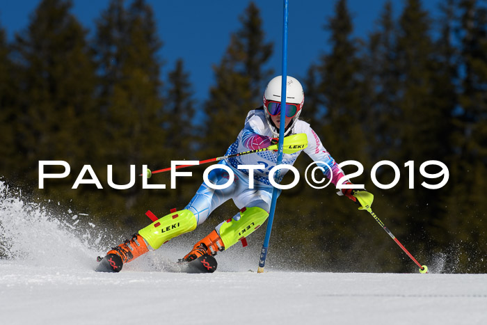 SVM U14/U16 Slalom 17.02.2019
