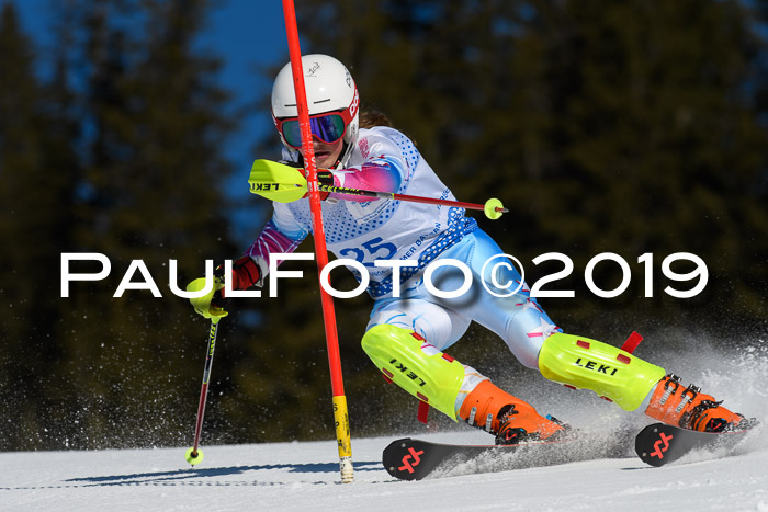 SVM U14/U16 Slalom 17.02.2019