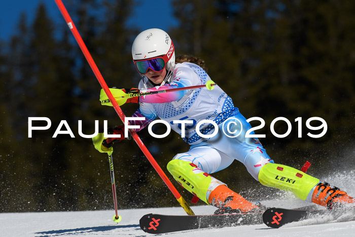 SVM U14/U16 Slalom 17.02.2019