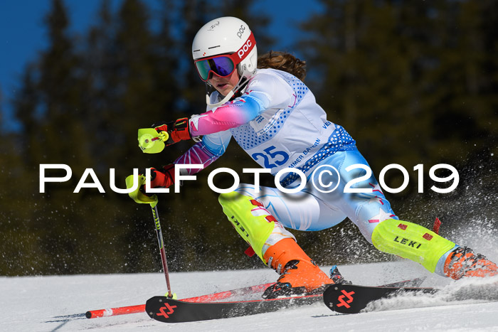 SVM U14/U16 Slalom 17.02.2019