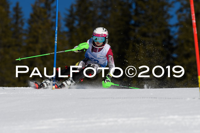 SVM U14/U16 Slalom 17.02.2019