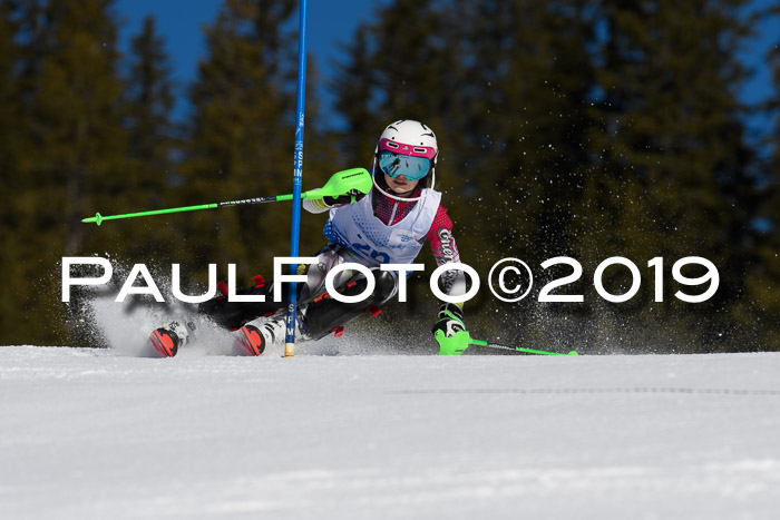 SVM U14/U16 Slalom 17.02.2019