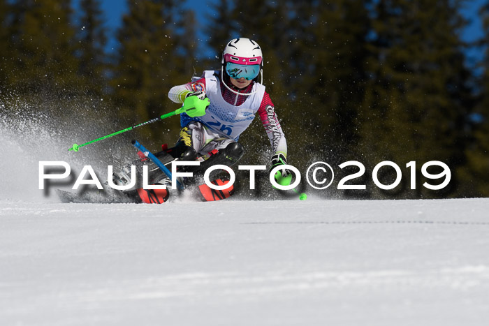 SVM U14/U16 Slalom 17.02.2019