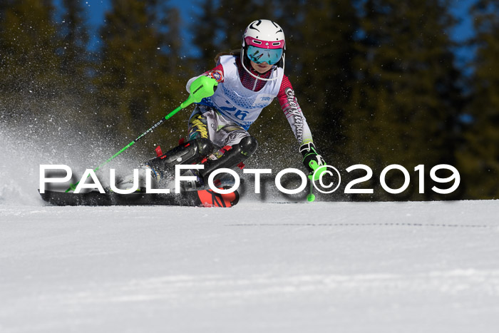 SVM U14/U16 Slalom 17.02.2019