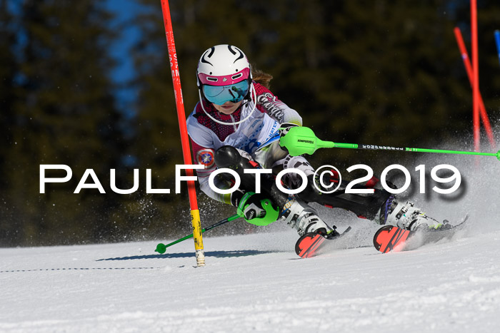 SVM U14/U16 Slalom 17.02.2019