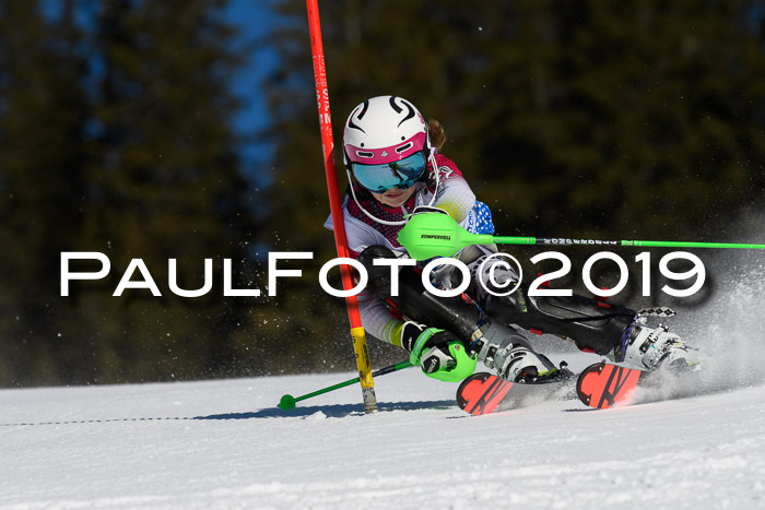 SVM U14/U16 Slalom 17.02.2019