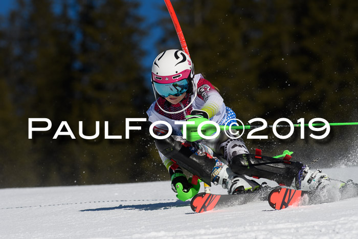 SVM U14/U16 Slalom 17.02.2019