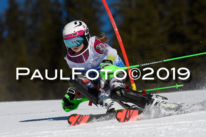 SVM U14/U16 Slalom 17.02.2019