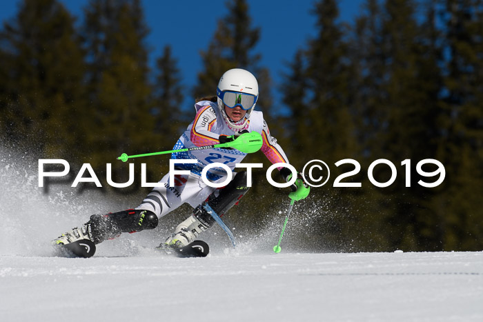 SVM U14/U16 Slalom 17.02.2019