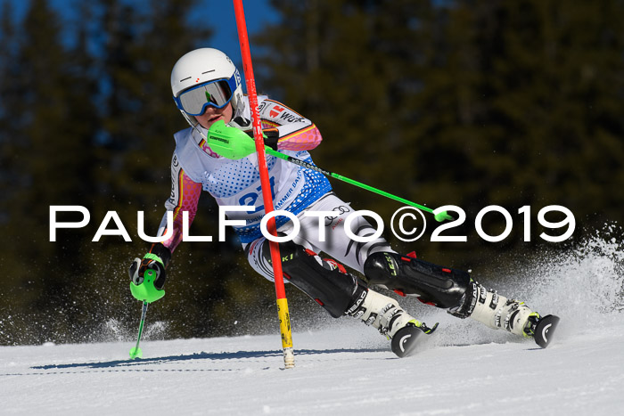 SVM U14/U16 Slalom 17.02.2019