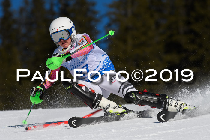 SVM U14/U16 Slalom 17.02.2019