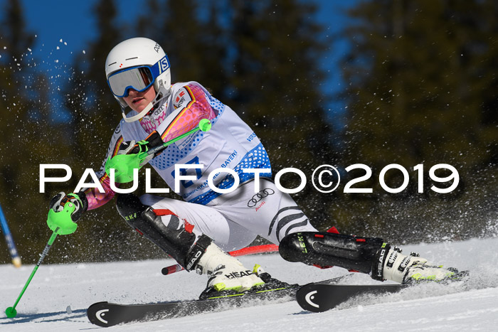 SVM U14/U16 Slalom 17.02.2019