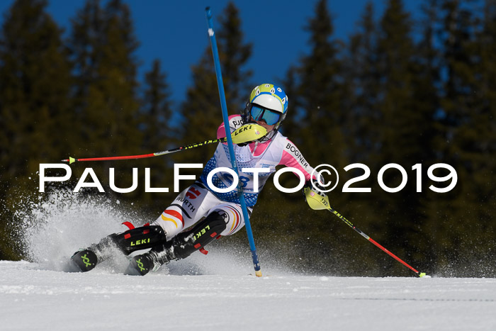 SVM U14/U16 Slalom 17.02.2019