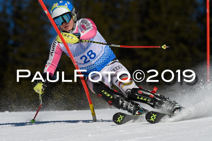 SVM U14/U16 Slalom 17.02.2019