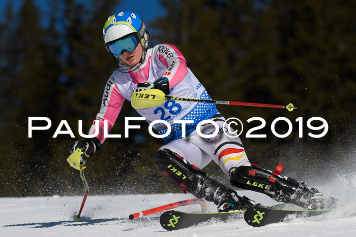SVM U14/U16 Slalom 17.02.2019