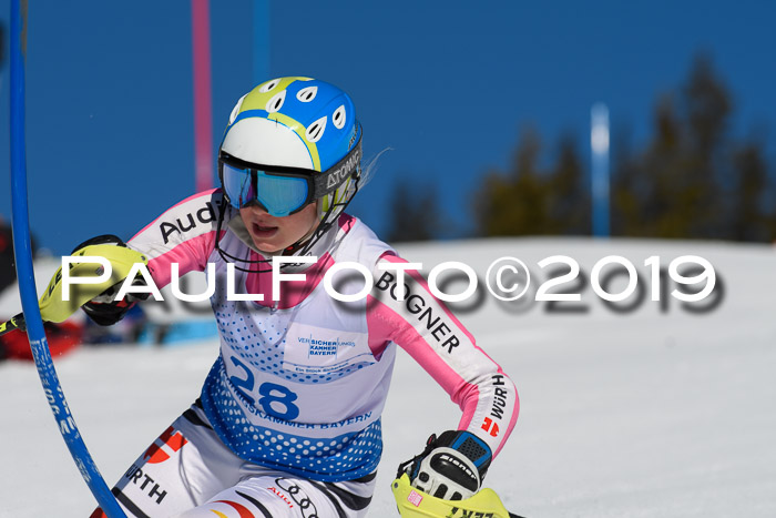 SVM U14/U16 Slalom 17.02.2019