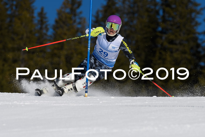 SVM U14/U16 Slalom 17.02.2019