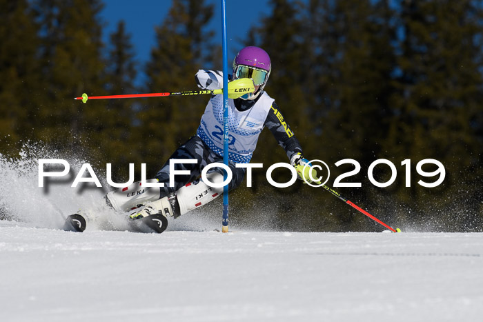 SVM U14/U16 Slalom 17.02.2019