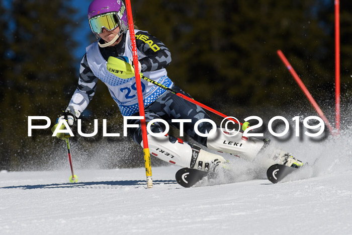 SVM U14/U16 Slalom 17.02.2019