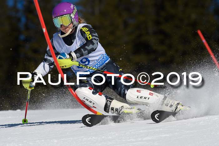 SVM U14/U16 Slalom 17.02.2019