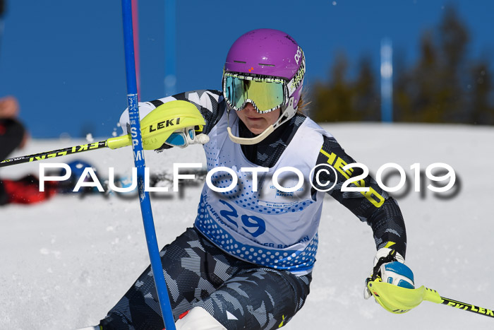 SVM U14/U16 Slalom 17.02.2019