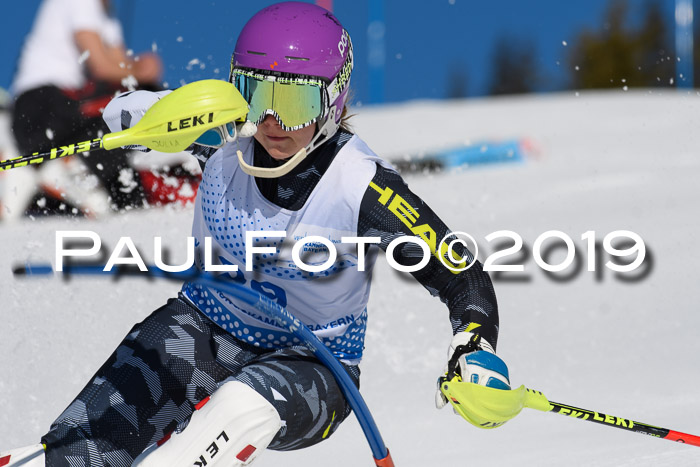 SVM U14/U16 Slalom 17.02.2019
