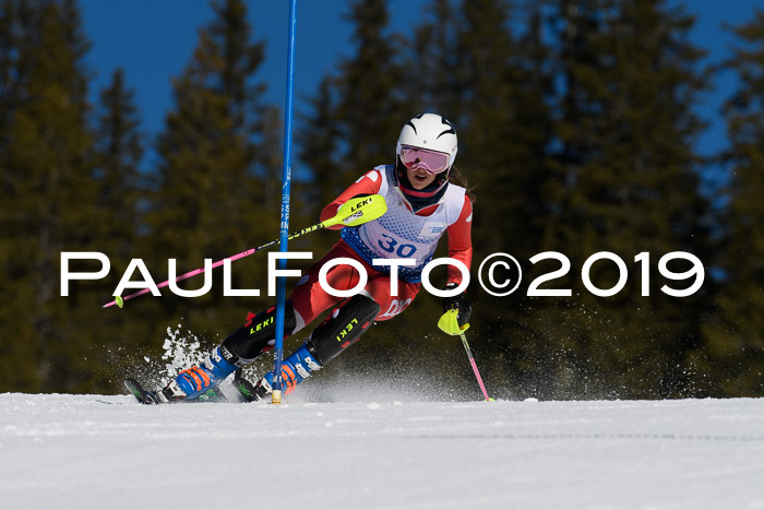 SVM U14/U16 Slalom 17.02.2019