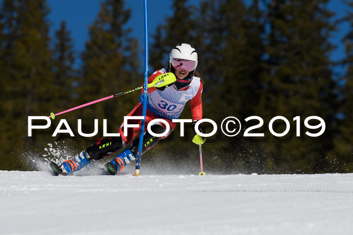 SVM U14/U16 Slalom 17.02.2019