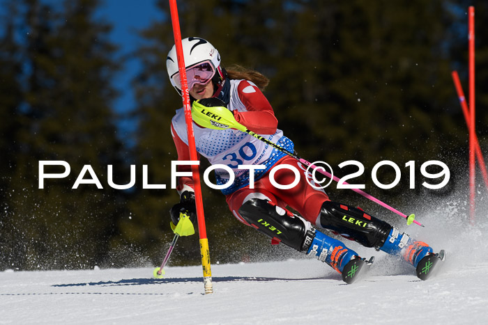 SVM U14/U16 Slalom 17.02.2019