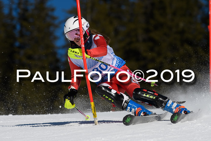 SVM U14/U16 Slalom 17.02.2019