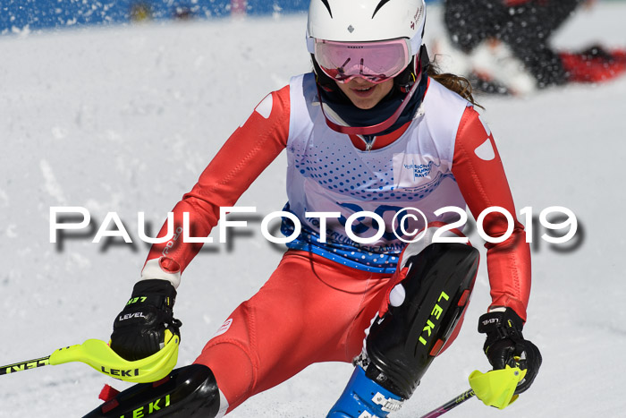 SVM U14/U16 Slalom 17.02.2019