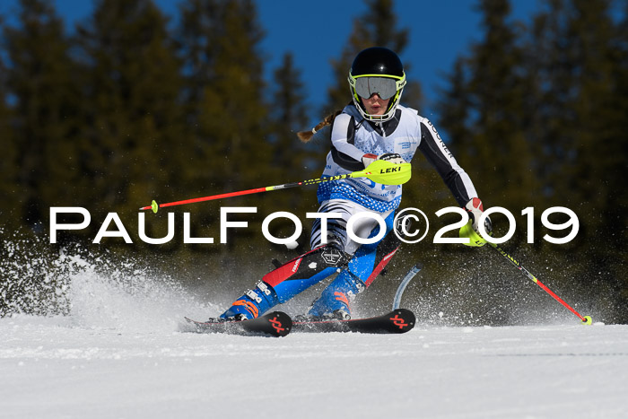 SVM U14/U16 Slalom 17.02.2019