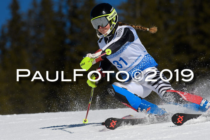 SVM U14/U16 Slalom 17.02.2019