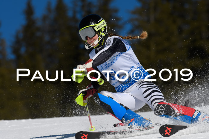 SVM U14/U16 Slalom 17.02.2019