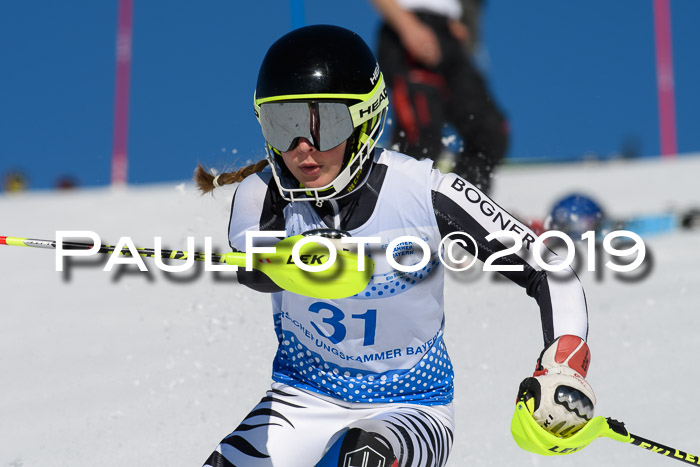 SVM U14/U16 Slalom 17.02.2019