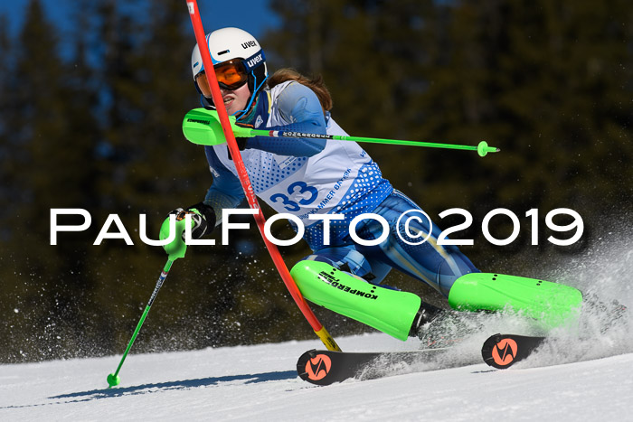 SVM U14/U16 Slalom 17.02.2019