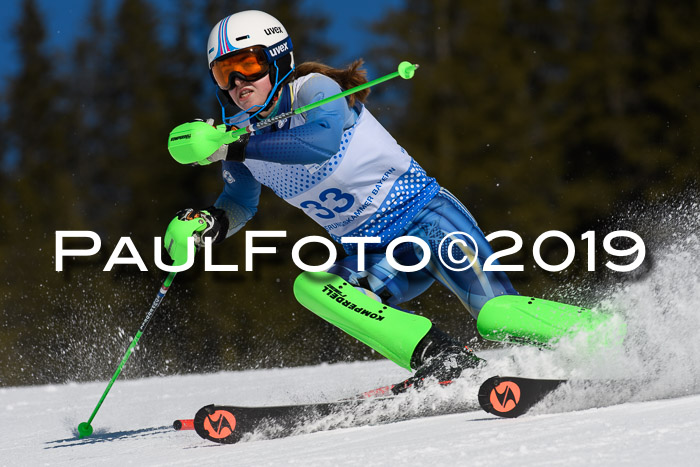 SVM U14/U16 Slalom 17.02.2019