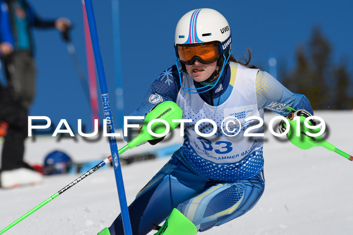 SVM U14/U16 Slalom 17.02.2019