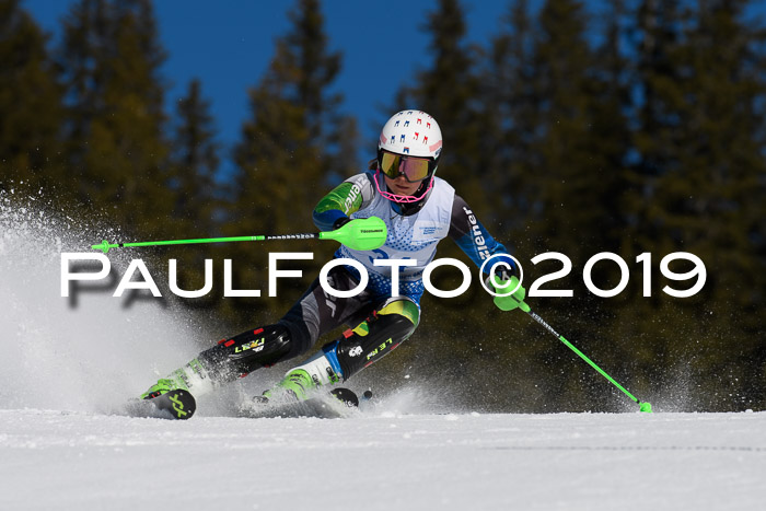 SVM U14/U16 Slalom 17.02.2019