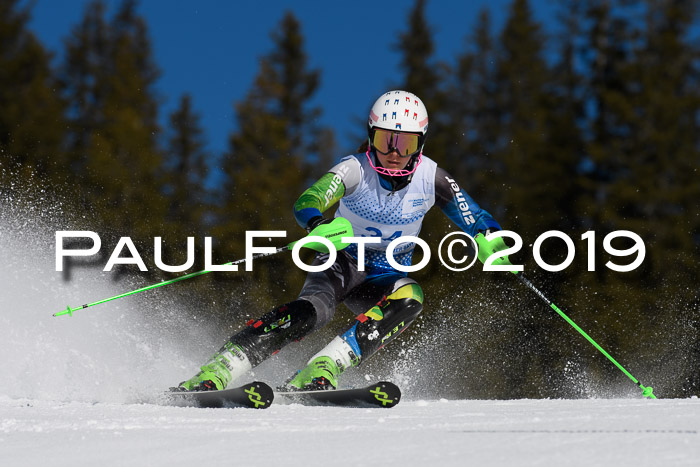 SVM U14/U16 Slalom 17.02.2019