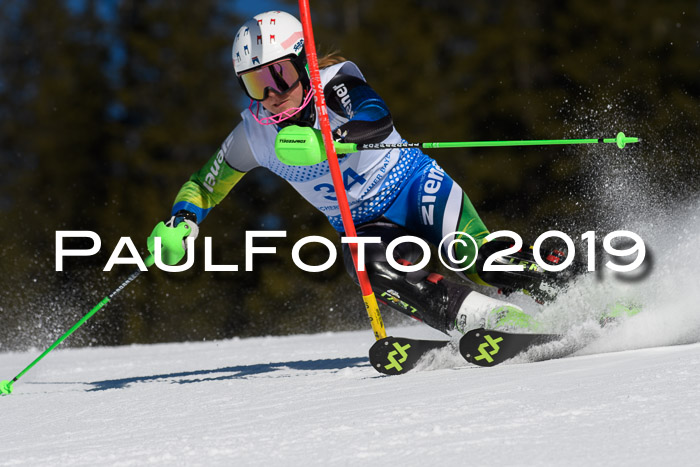 SVM U14/U16 Slalom 17.02.2019