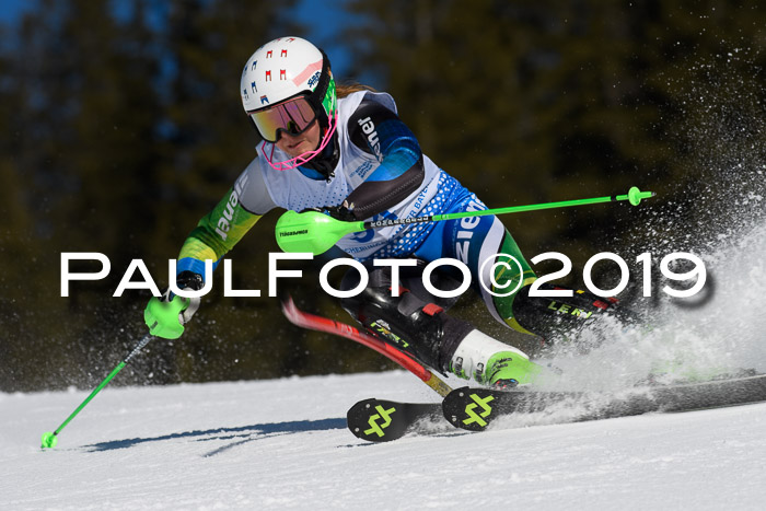 SVM U14/U16 Slalom 17.02.2019