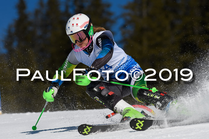 SVM U14/U16 Slalom 17.02.2019