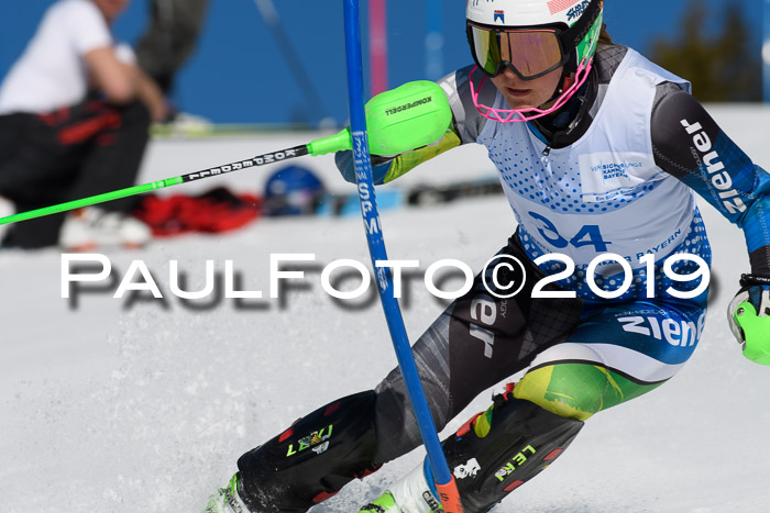 SVM U14/U16 Slalom 17.02.2019