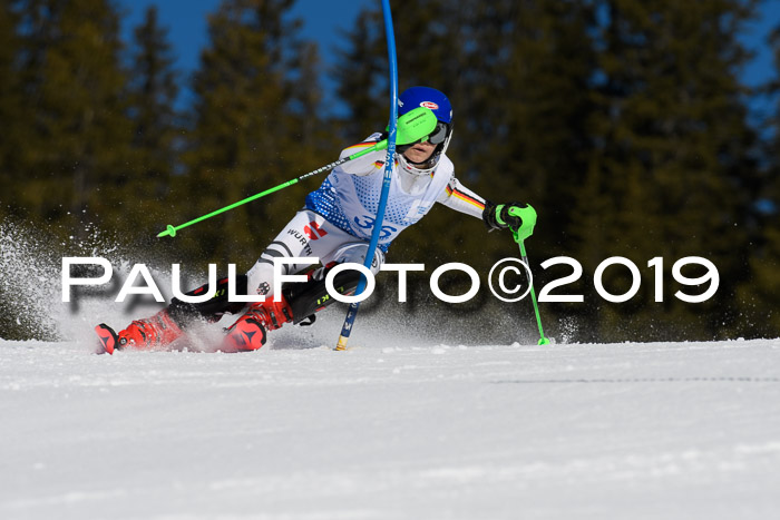 SVM U14/U16 Slalom 17.02.2019
