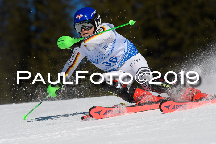 SVM U14/U16 Slalom 17.02.2019