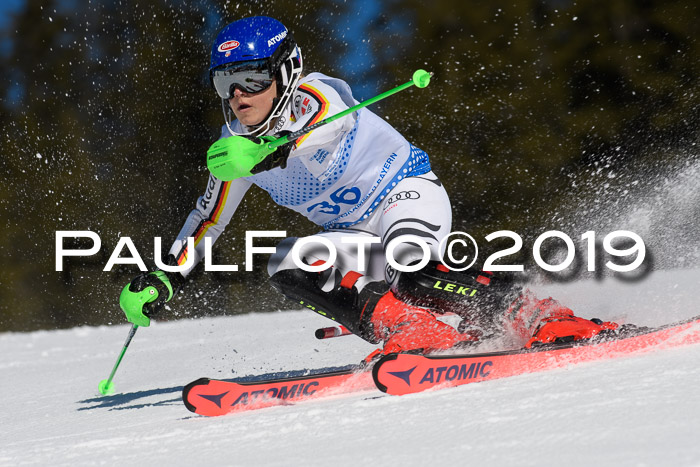 SVM U14/U16 Slalom 17.02.2019