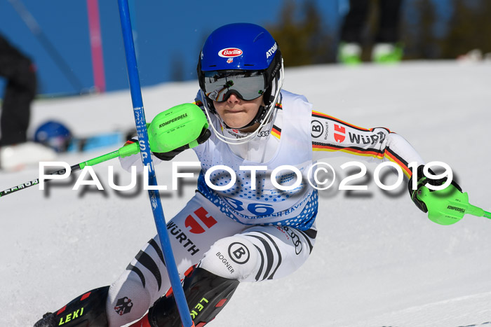 SVM U14/U16 Slalom 17.02.2019